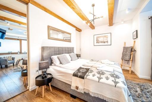 Apartament Kamieniec Zakopane Buitenkant foto